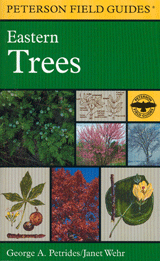 a peterson field guide to western medicinal plants and herbs peterson field guides ebook a peterson field guide to western medicinal plants and herbs a peterson field guide to western medicinal plants and herbs peterson field guides ebook a peterson field guide to western medicinal plants and herbs