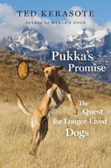 Pukka's Promise