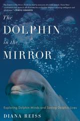 The Dolphin in the Mirror