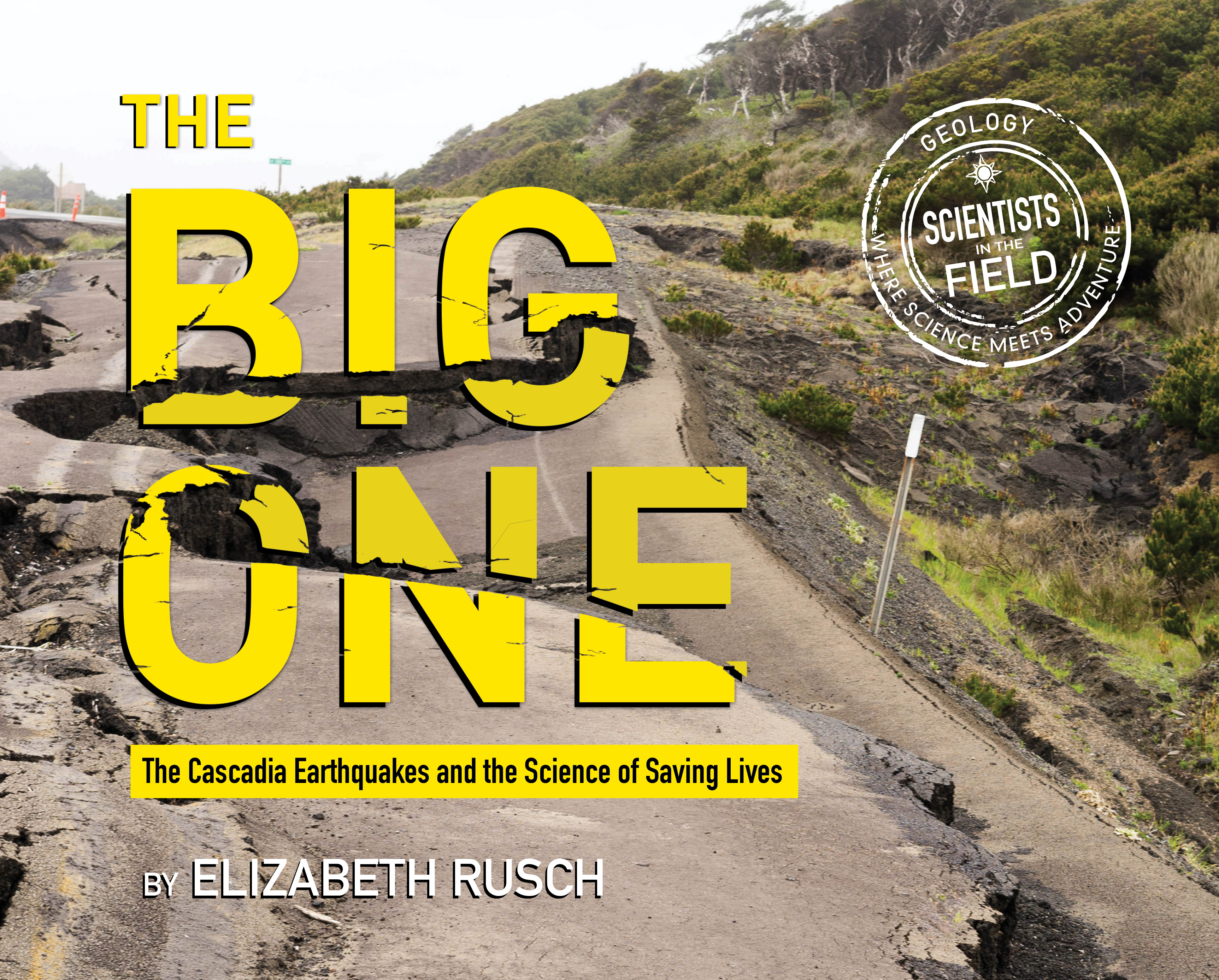 The Big One-9780358335795