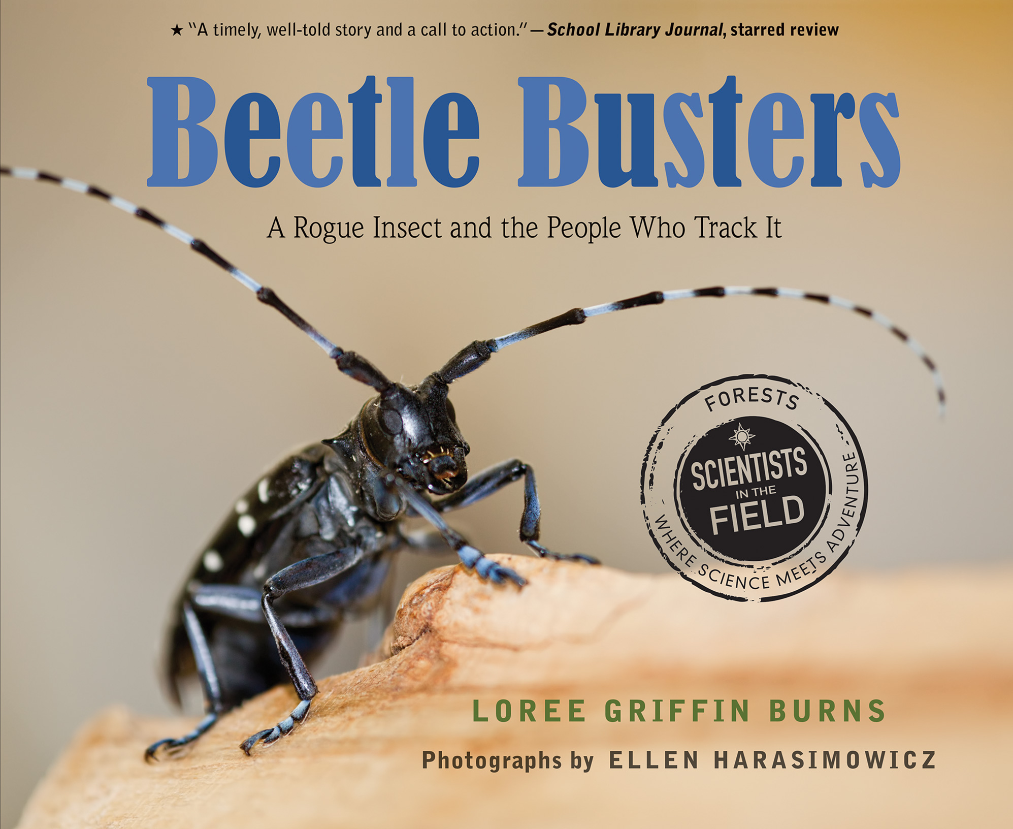 Beetle Busters-9780544601994