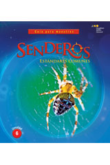 Teacher's Edition, Volume 6 Grade 4