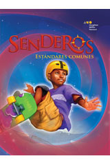 Teacher's Guide Below-Level Strand Set Grade 6