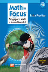 Extra Practice, Book B Grade 4-9780669015720