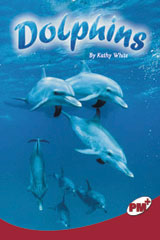 Leveled Reader 6pk Ruby (Levels 27-28) Dolphins