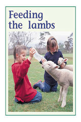 Leveled Reader 6pk Green (Levels 12-14) Feeding the Lambs-9780763538811