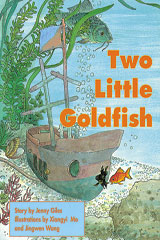 Leveled Reader 6pk Orange (Levels <em>15</em>-<em>16</em>) Two Little Goldfish