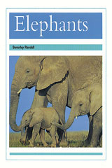 <em>Leveled</em> <em>Reader</em> 6pk <em>Turquoise</em> (<em>Levels</em> 17-18) Elephants