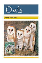 <em>Leveled</em> <em>Reader</em> 6pk <em>Gold</em> (<em>Levels</em> 21-22) Owls