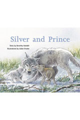 Leveled Reader 6pk Silver (Levels 23-24) Silver and Prince-9780763596712