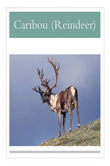 Leveled Reader 6pk Silver (Levels 23-24) Caribou Reindeer-9780763596866