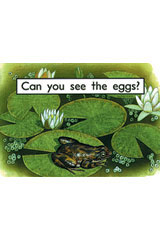 Individual Student Edition Magenta (Levels 1-2) Can You See the Eggs?-9781418903701