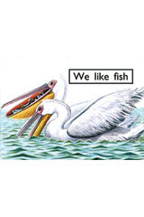 Individual Student Edition Magenta (Levels 1-2) We Like Fish-9781418903855