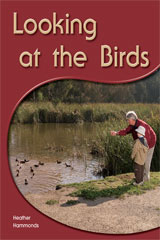 Leveled Reader 6pk Yellow (Levels 6-8) Looking at the Birds Looking at the Birds-9781418942977